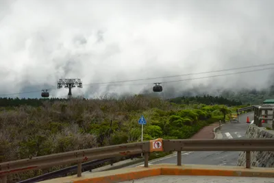 DSC_3709 (Large).JPG